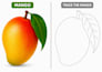 create an alphabet tracing book for kids